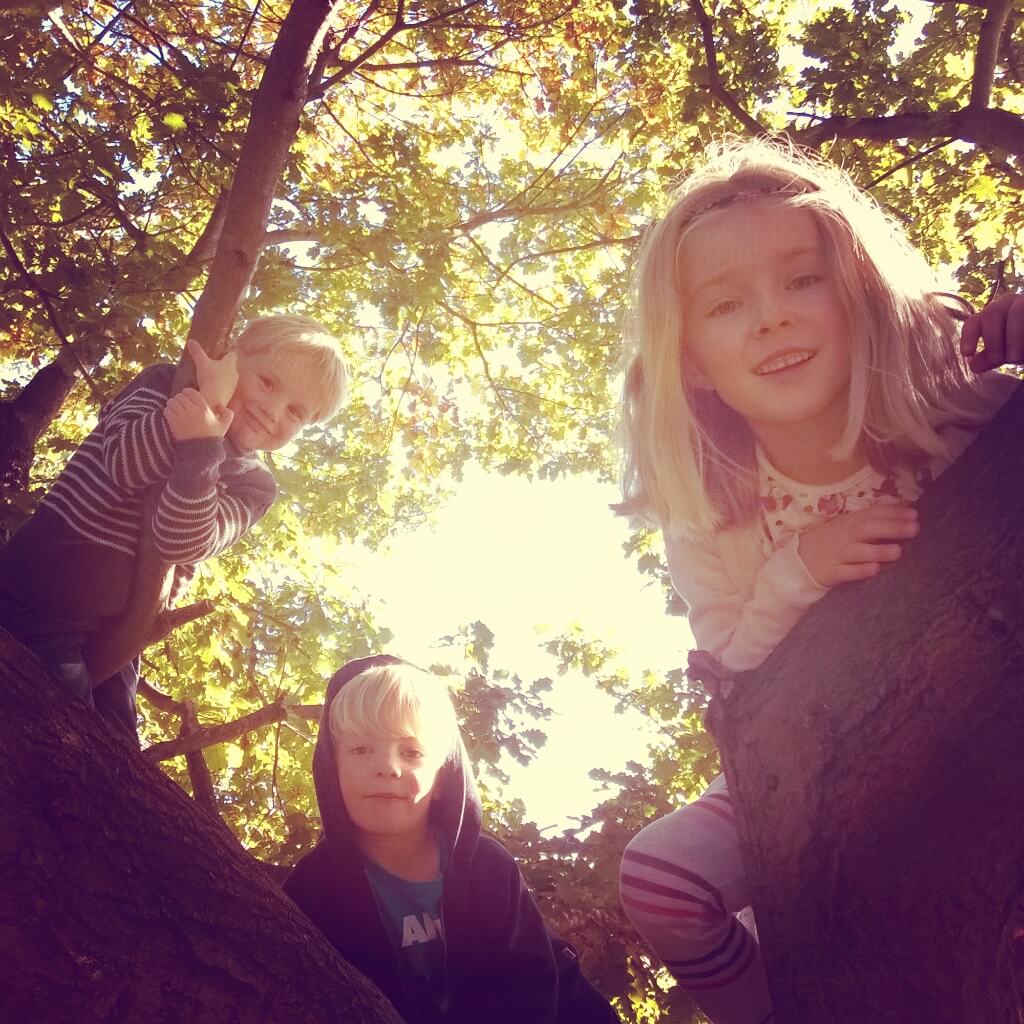 children climbing tree