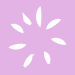 Starter icon